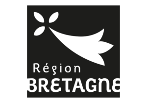 region br